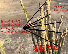 一分钱一分货