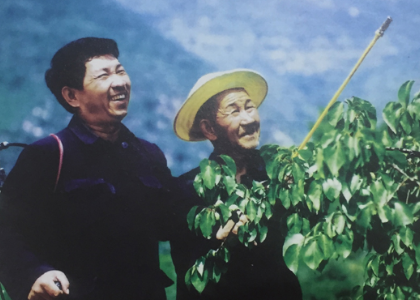 植树造林，绿化家园