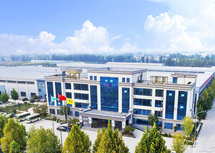 山东大华集团
