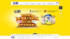 飞鹤国际有限公司
