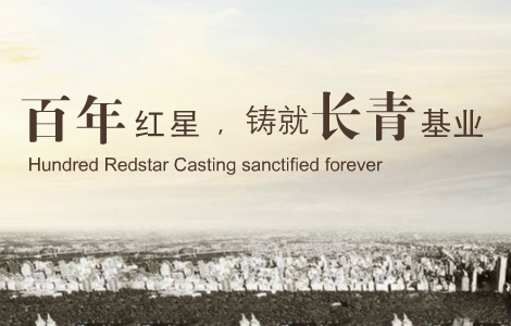 红星发展 企业网站建设
