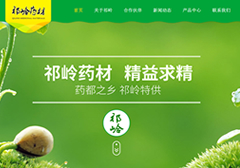 安国市祁岭药材有限公司