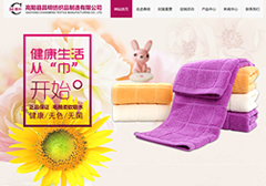 高阳县昌明纺织品制造有限公司