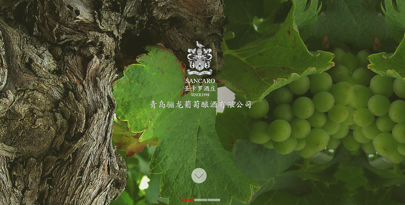 青岛骊龙葡萄酿酒有限公司 