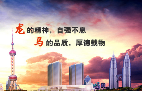 江西龙马建设集团