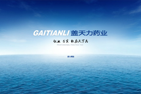 启东盖天力药业有限公司