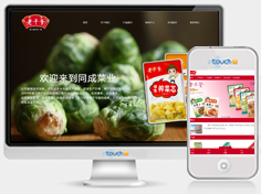 桐乡市同成菜业有限公司