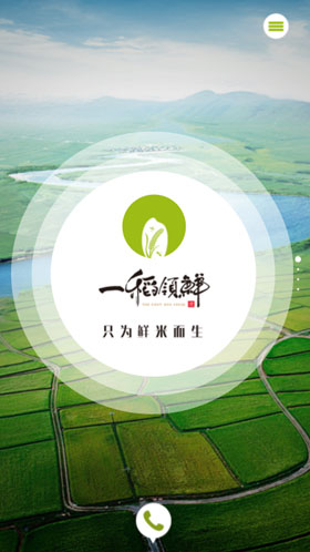 建三江农垦海鹏志水稻