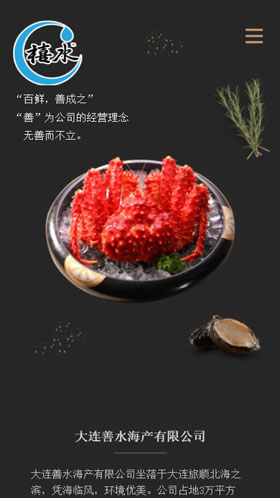 大连善水海产有限公司