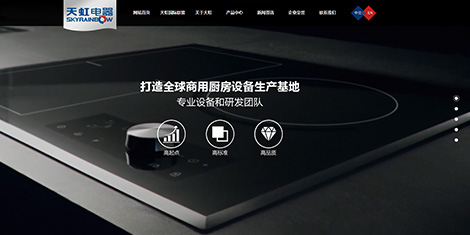 滨州天虹电器有限公司案例