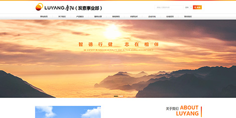 山东鲁阳节能材料股份有限公司