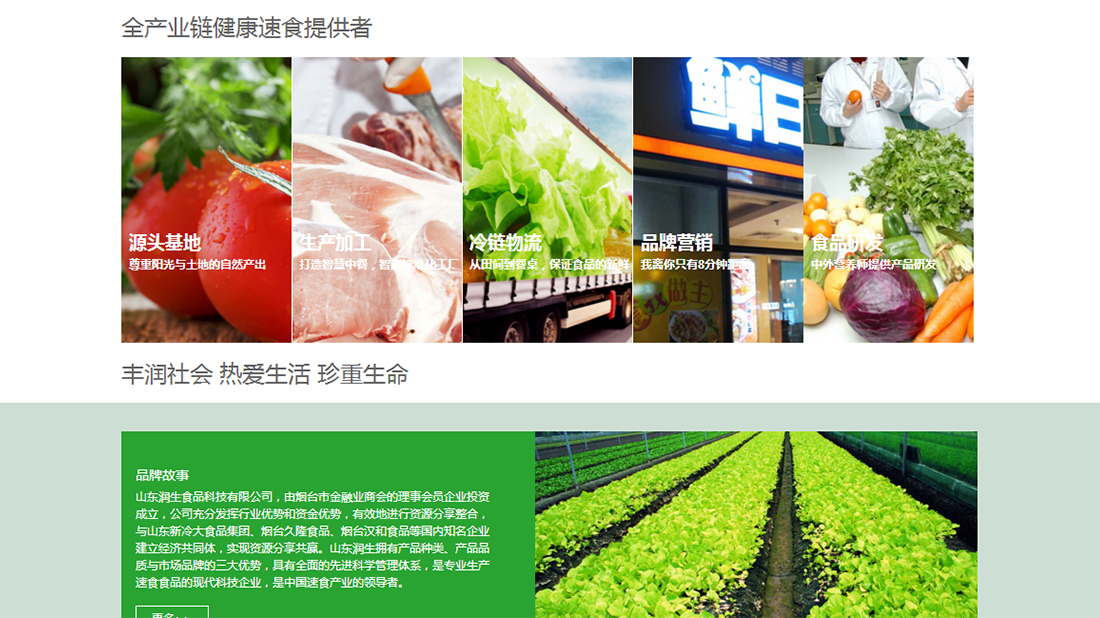 食品制造网站案例