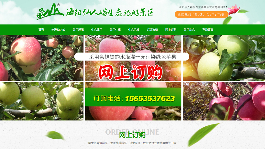 网站案例