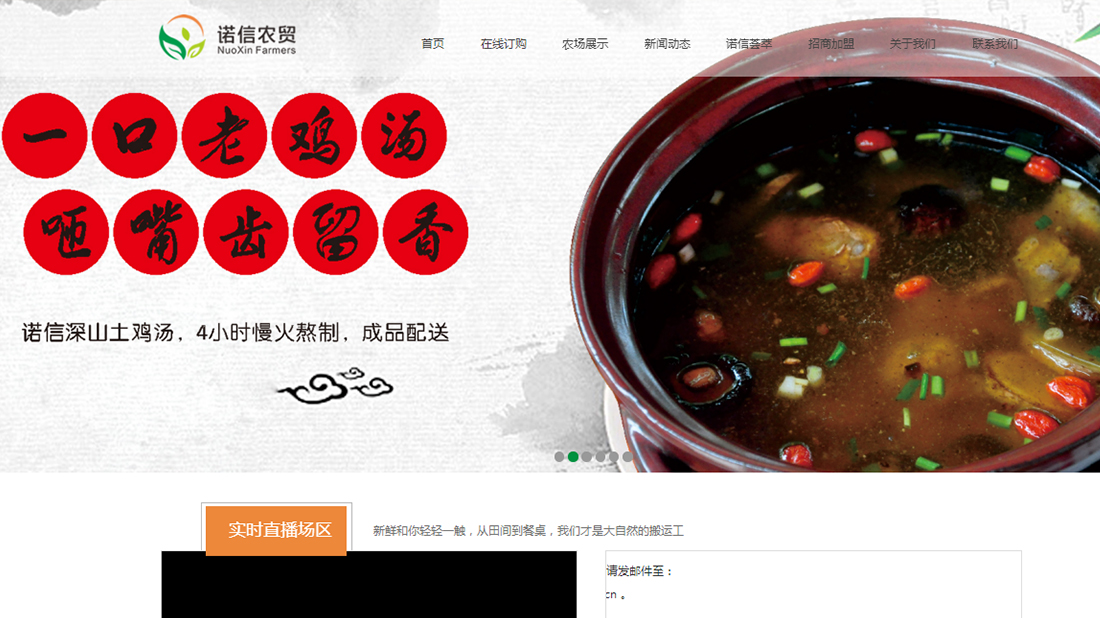 农副产品/商业服务网站案例