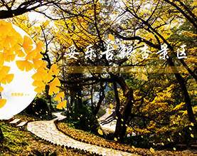 贵州盘州市妥乐古银杏旅游投资开发有限责任公司