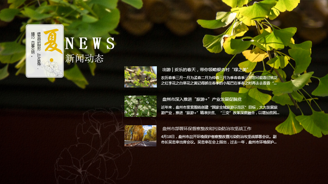 酒店旅游网站案例