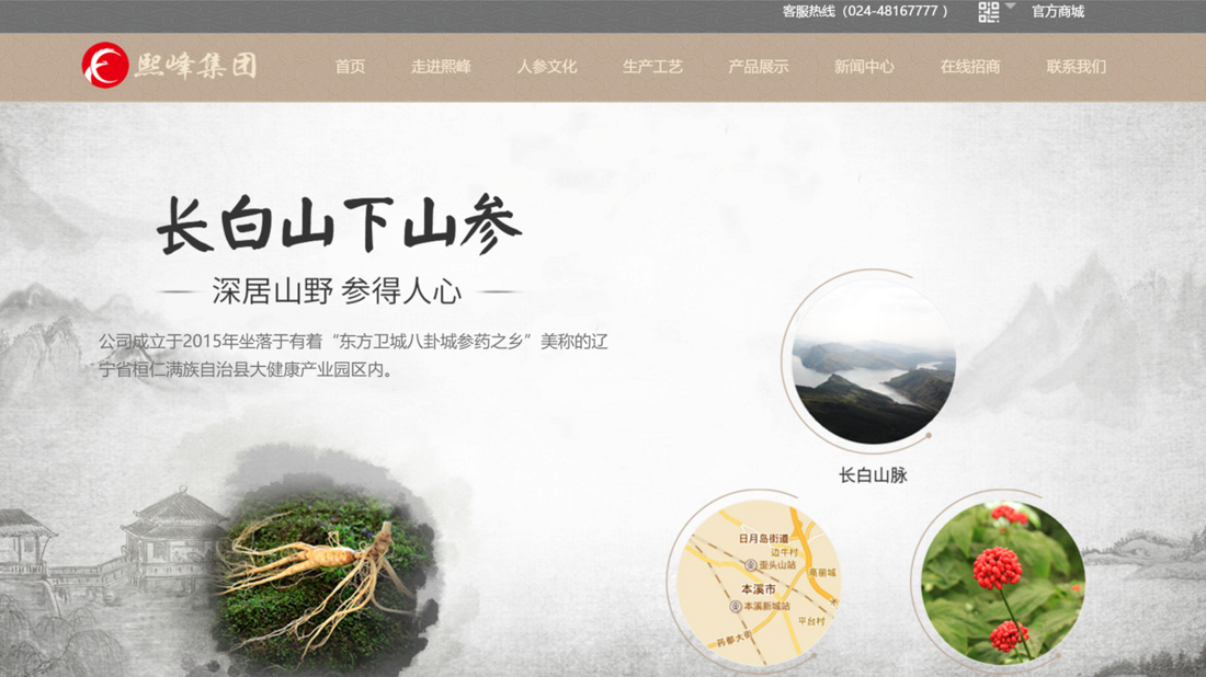 医疗健康网站案例