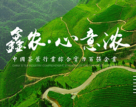 鑫农-移动电商