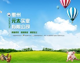 惠州元太实业有限公司