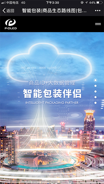 IT互联网网站案例