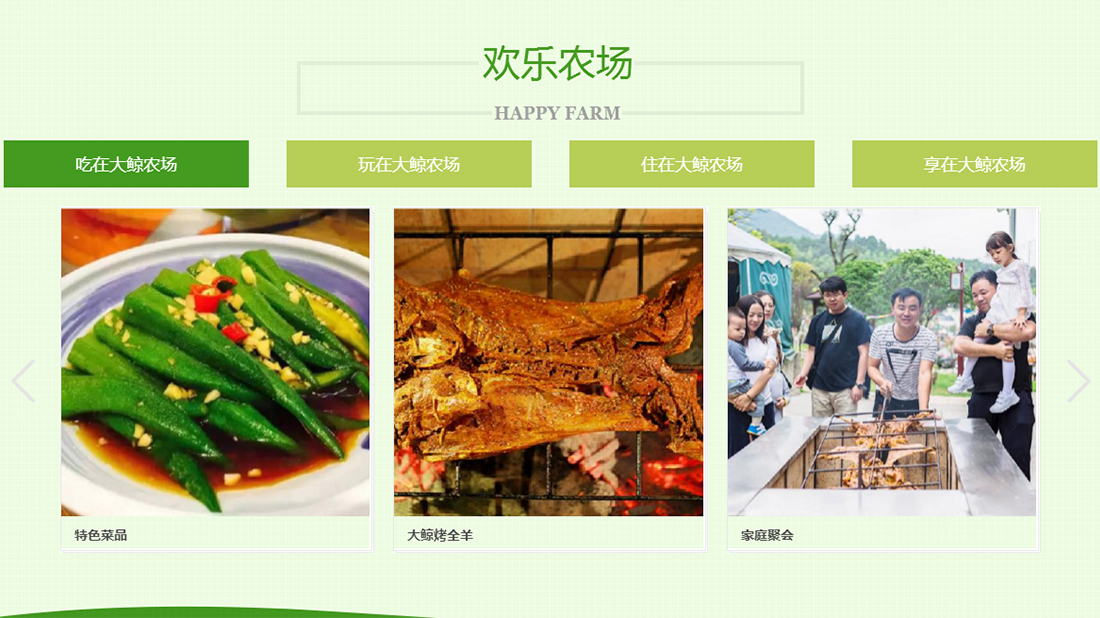 酒店旅游网站案例