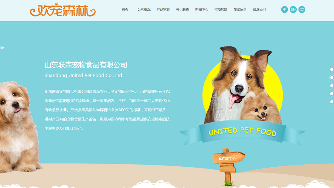 商业服务网站案例