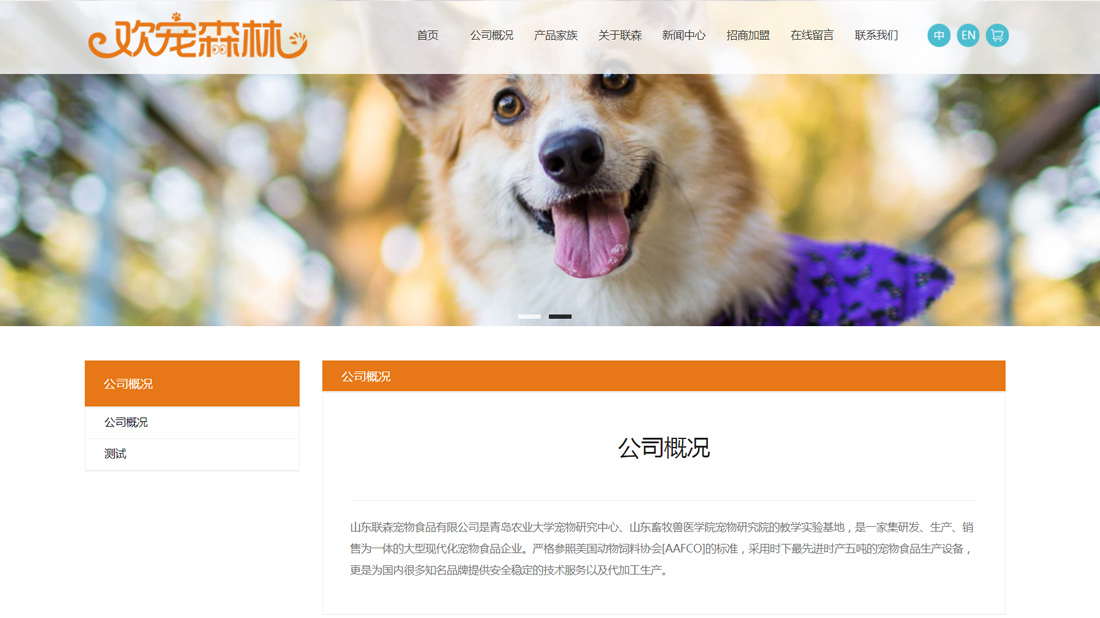 商业服务网站案例