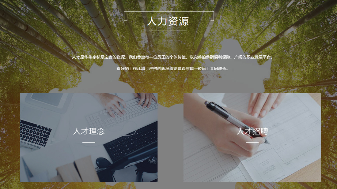 家具制造/家装建材网站案例