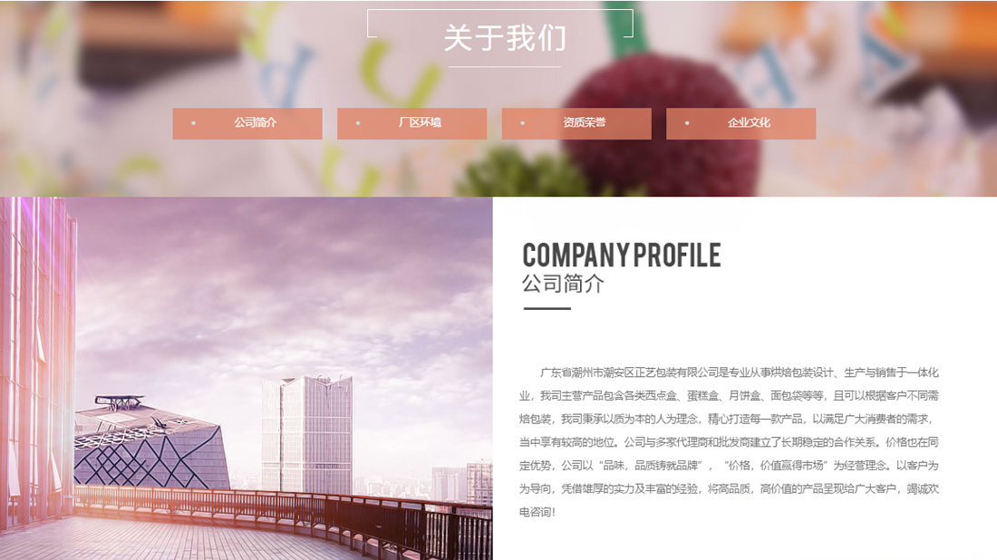 其它网站案例