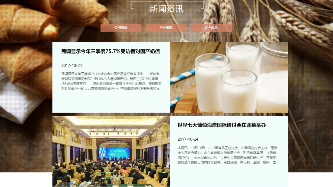 其它网站案例