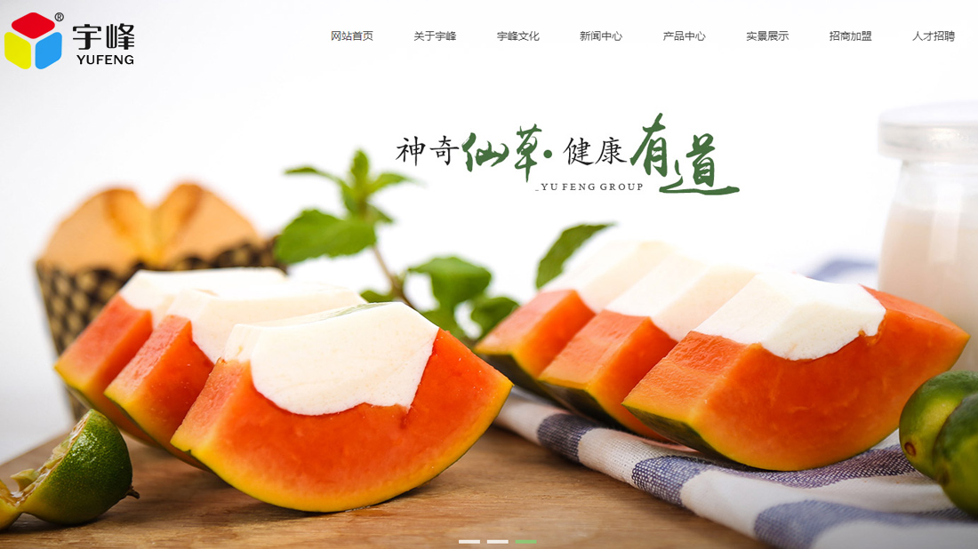 食品制造网站案例