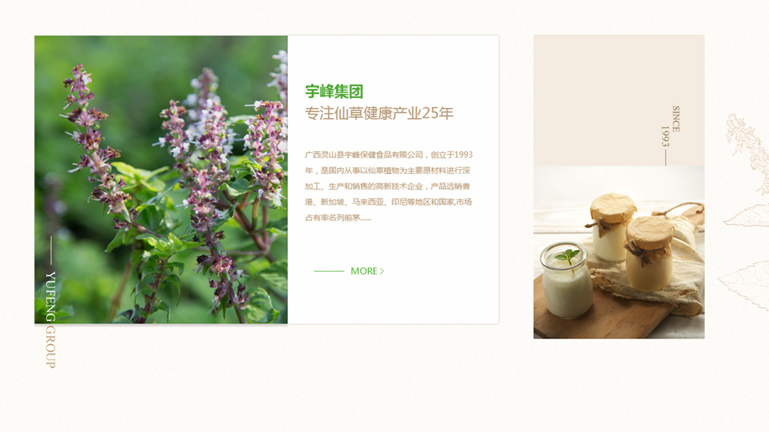 食品制造网站案例