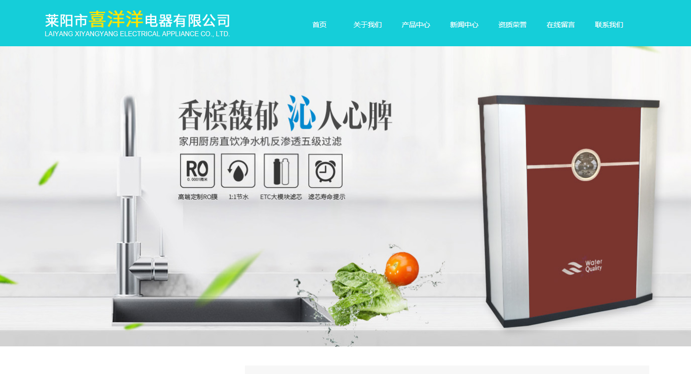 莱阳市喜洋洋电器有限公司