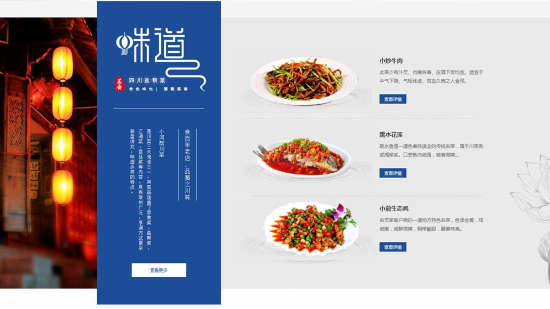 其它网站案例