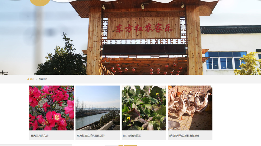 酒店旅游网站案例