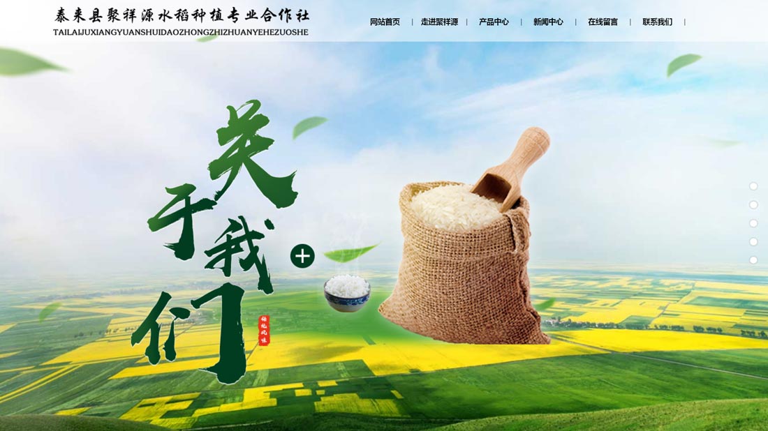 网站案例