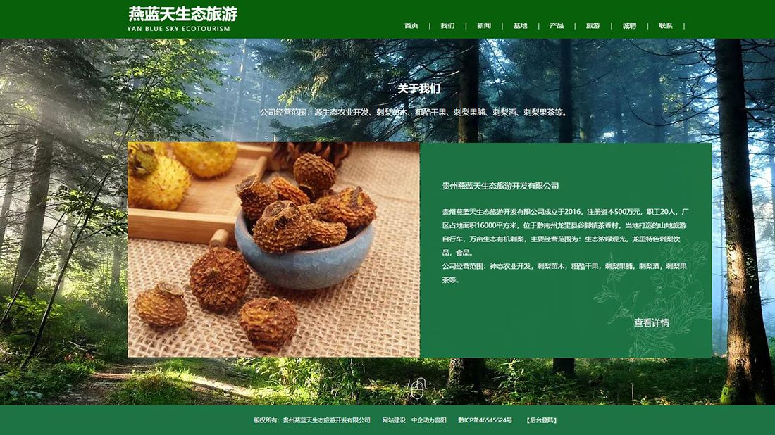 酒店旅游网站案例