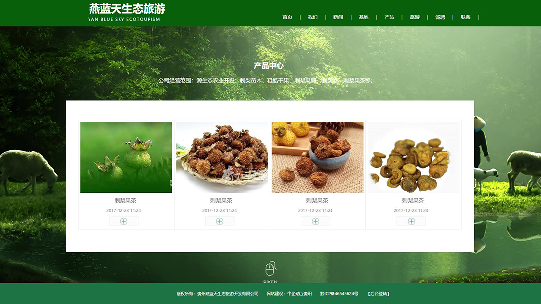 酒店旅游网站案例