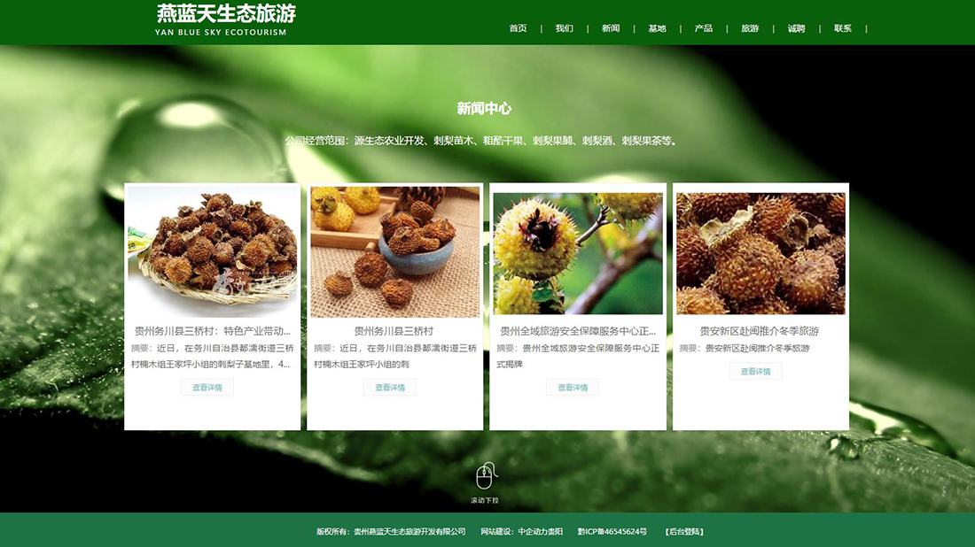 酒店旅游网站案例