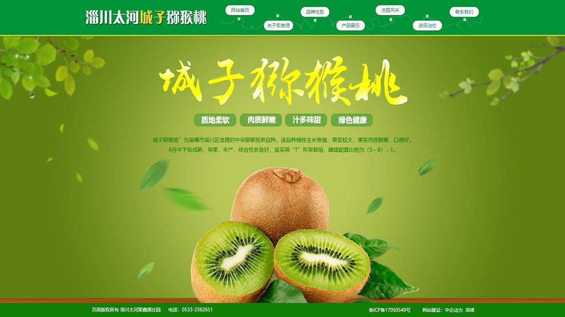 农副产品网站案例