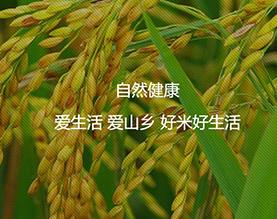 柳州市柳江县山乡大米厂 