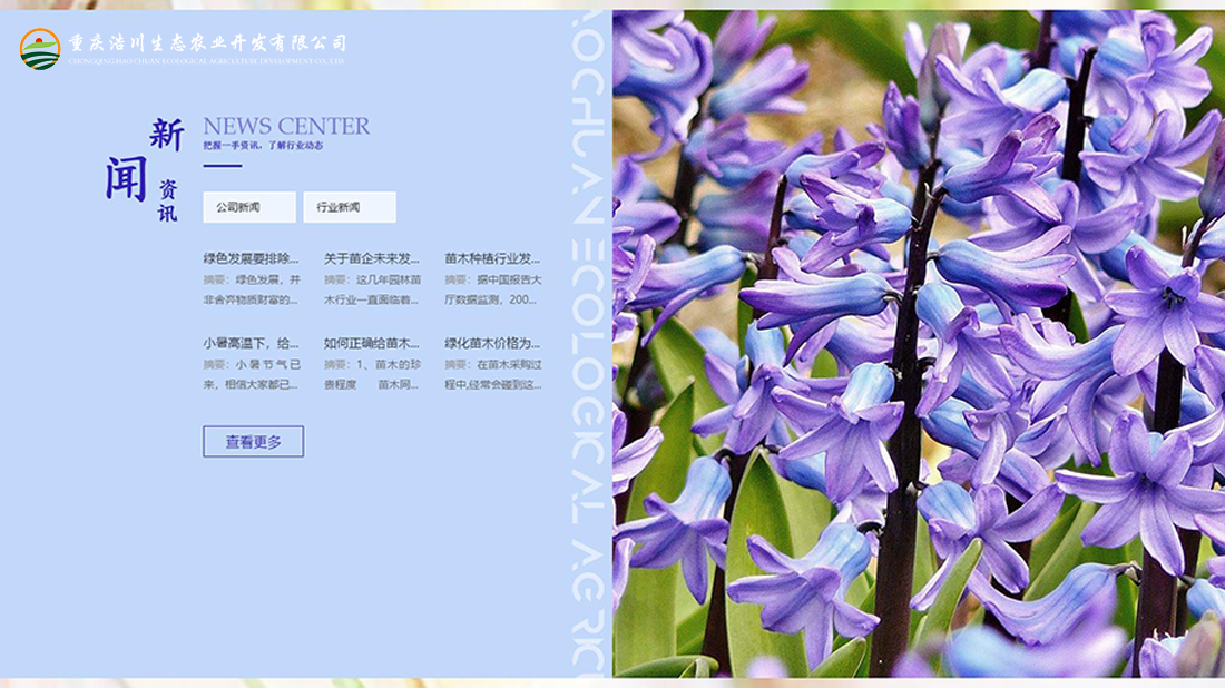 农副产品网站案例