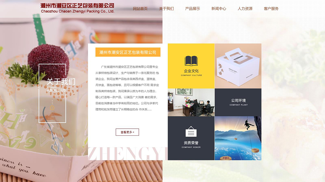 其它网站案例