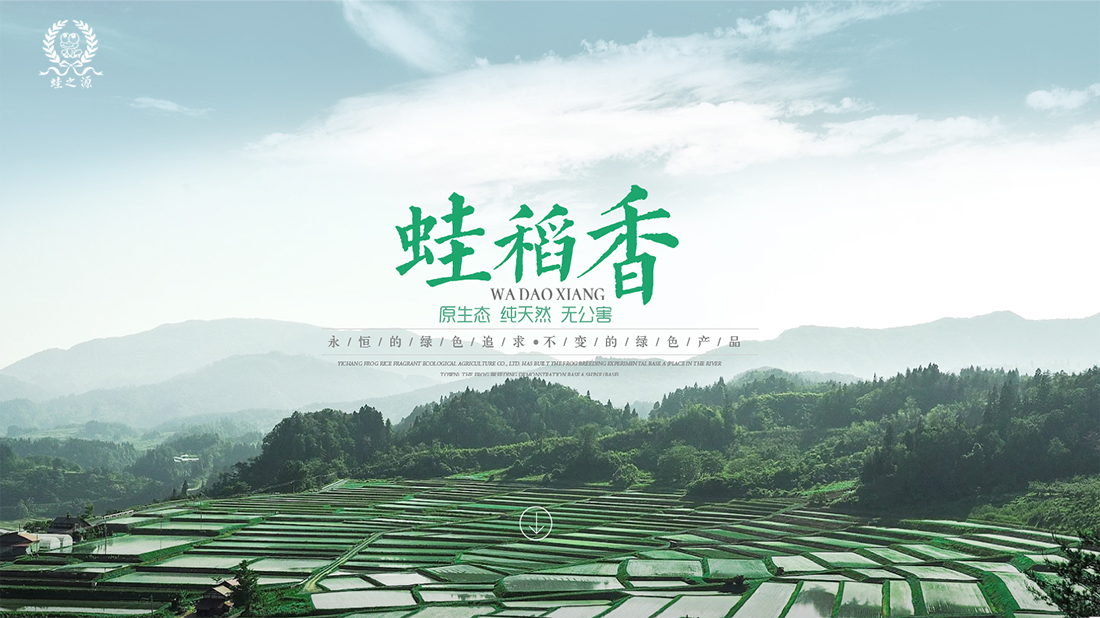 农副产品网站案例