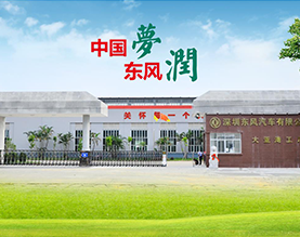 深圳东风汽车有限公司