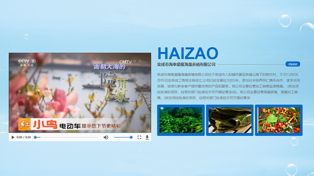 农副产品网站案例