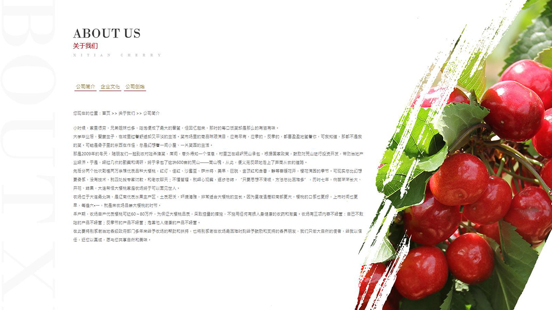 农副产品网站案例