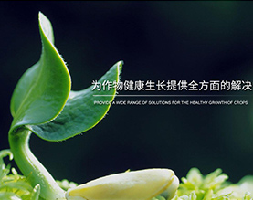 山东金业生物发展有限公司