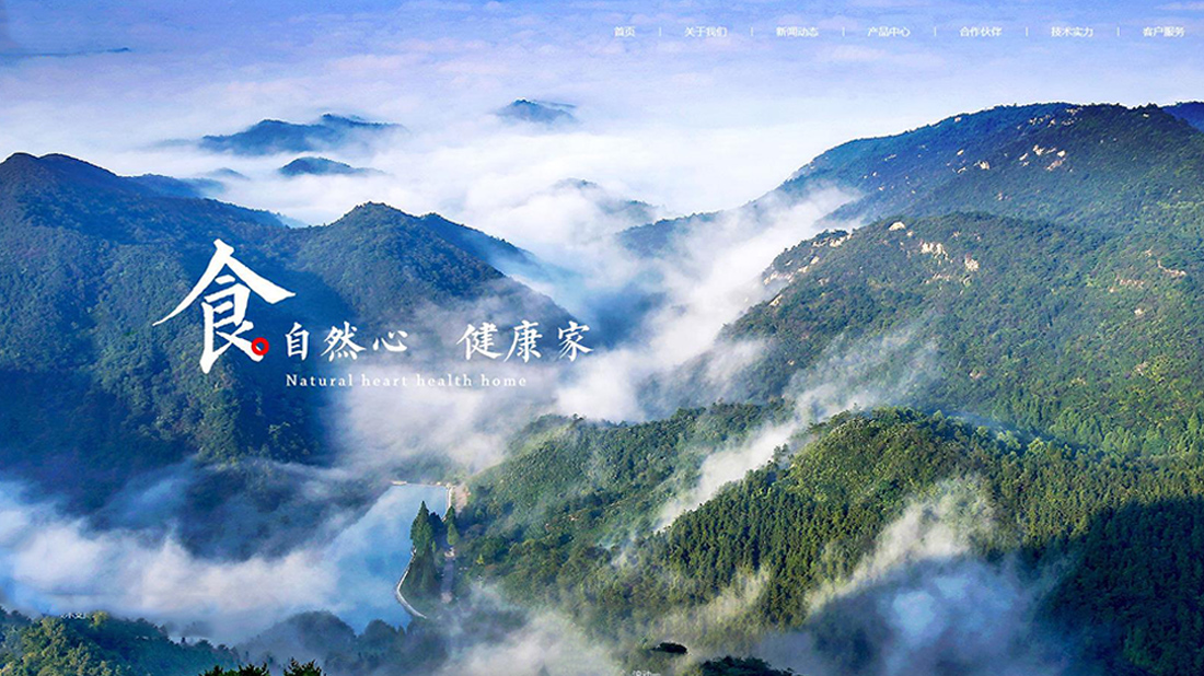 医疗健康网站案例