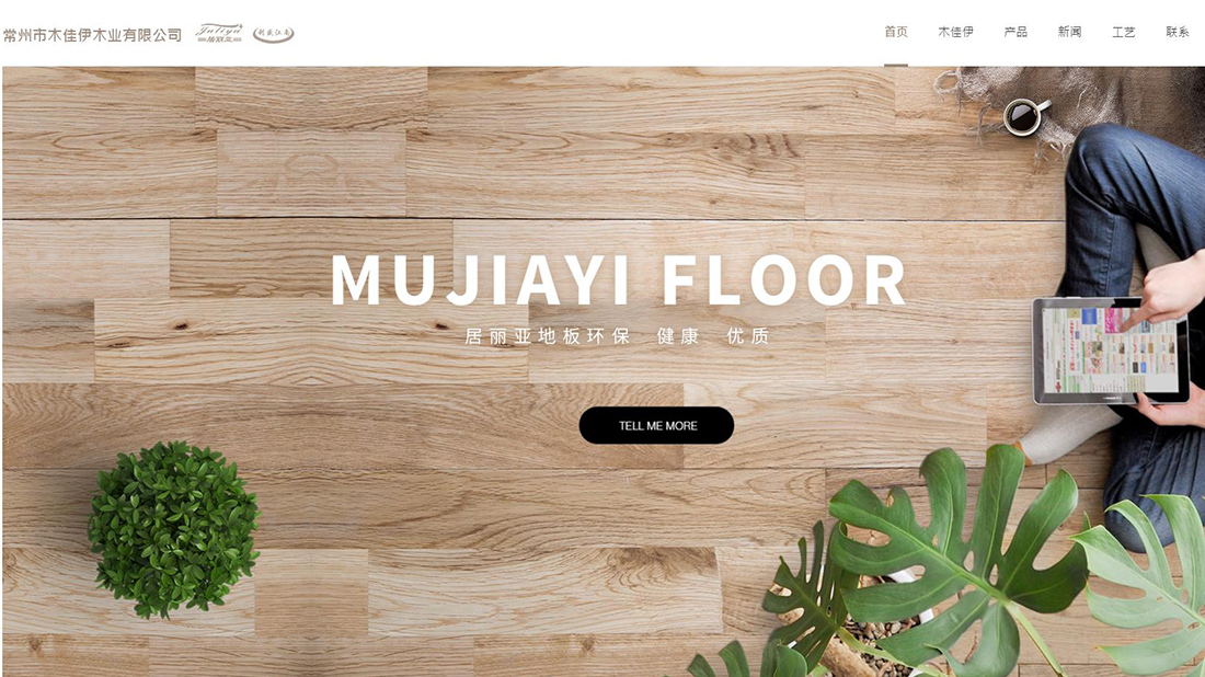家装建材网站案例